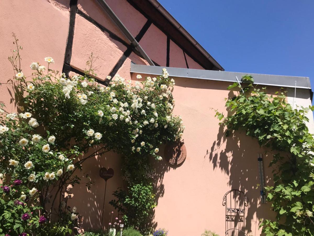 Haus Am Markt Königstein in der Oberpfalz Kültér fotó
